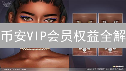 币安VIP会员权益全解：手续费折扣？专属服务？一文读懂！