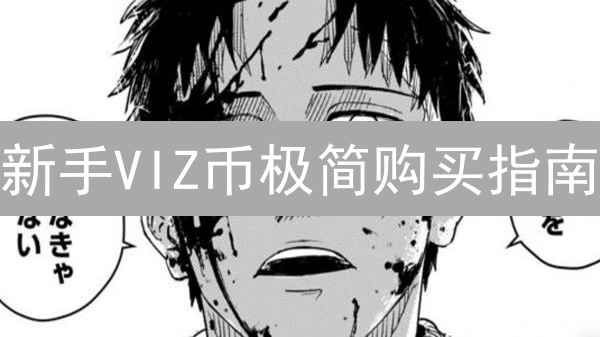 新手VIZ币极简购买指南：告别复杂，轻松入门