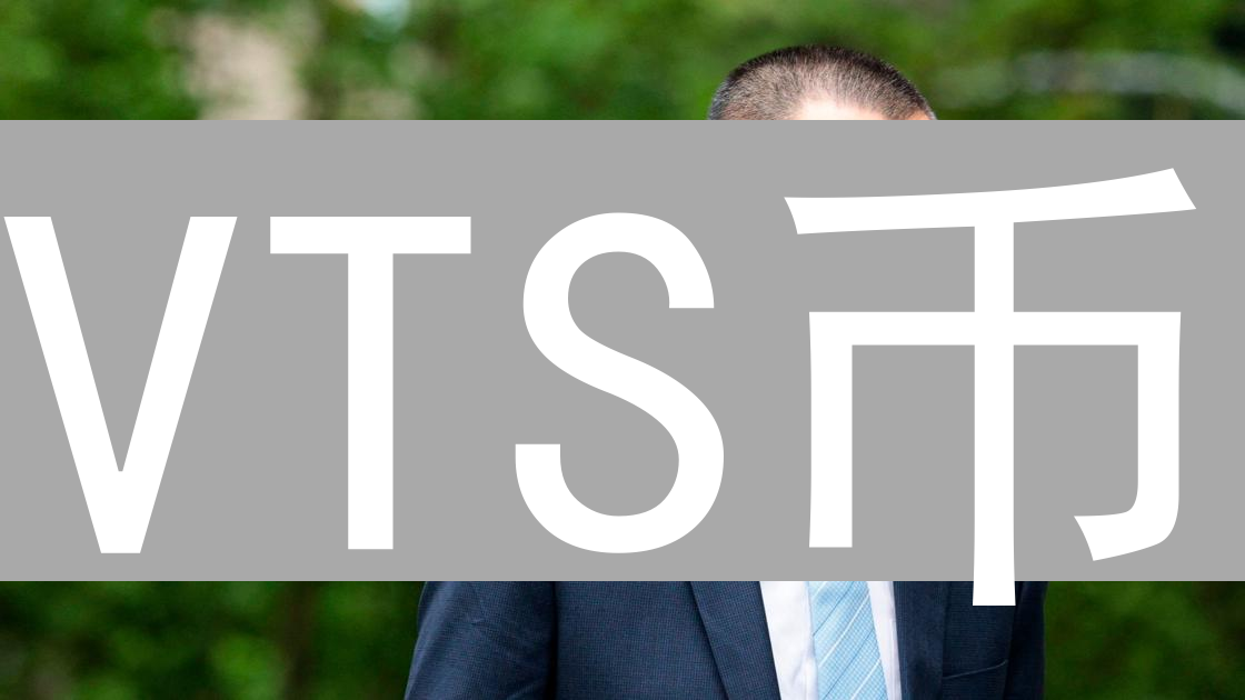 VTS币：重新定义价值传输的加密货币项目及其应用