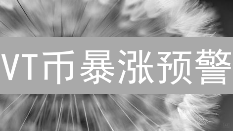 VT币暴涨预警？新手如何抓住这波财富密码？超全攻略来了！
