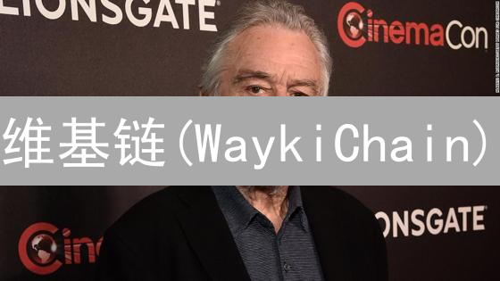 维基链(WaykiChain)：下一代区块链基础设施的潜力分析