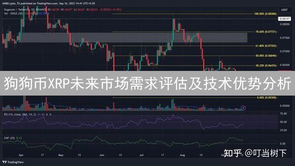 狗狗币XRP未来市场需求评估及技术优势分析