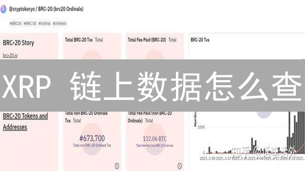 XRP 链上数据怎么查？2024 最新 XRP 交易查询指南！