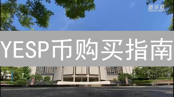 YESP币购买指南：途径、风险与交易所选择详解