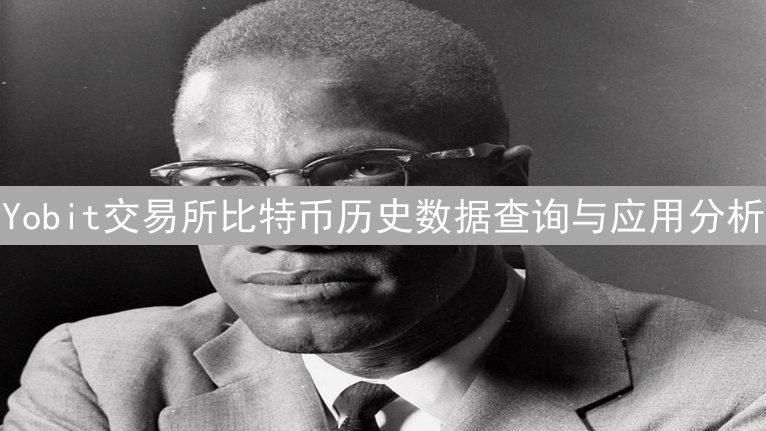 Yobit交易所比特币历史数据查询与应用分析