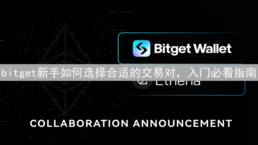 bitget新手如何选择合适的交易对，入门必看指南